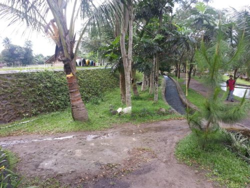 Kemah Karang Asri Kelas 5_027